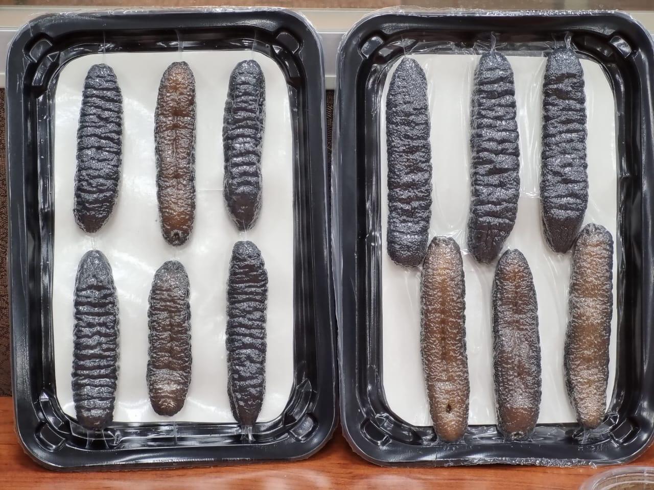 Premium Dried Bêche-de-Mer Quality